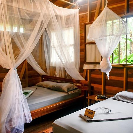 La Tarima Del Colibri Ecolodge El Valle  ภายนอก รูปภาพ