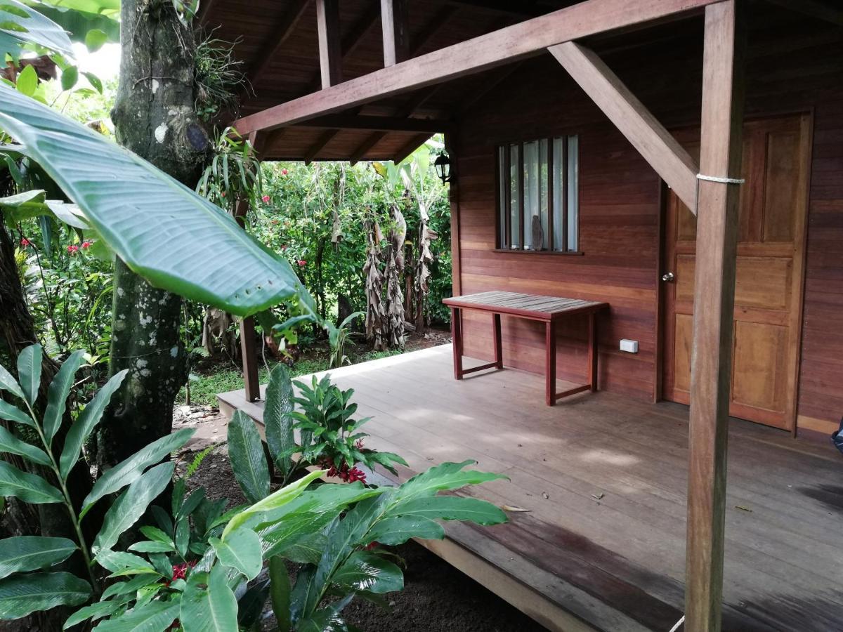 La Tarima Del Colibri Ecolodge El Valle  ภายนอก รูปภาพ