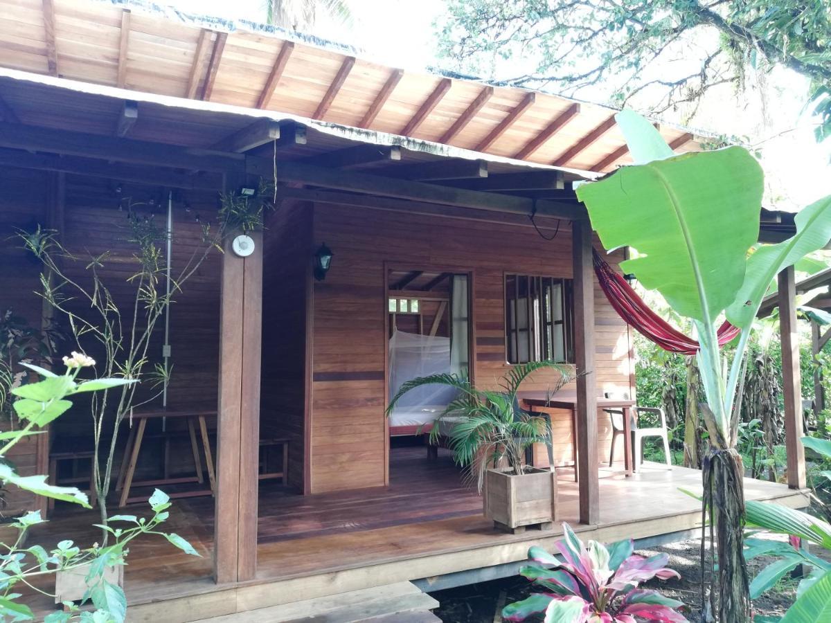 La Tarima Del Colibri Ecolodge El Valle  ภายนอก รูปภาพ