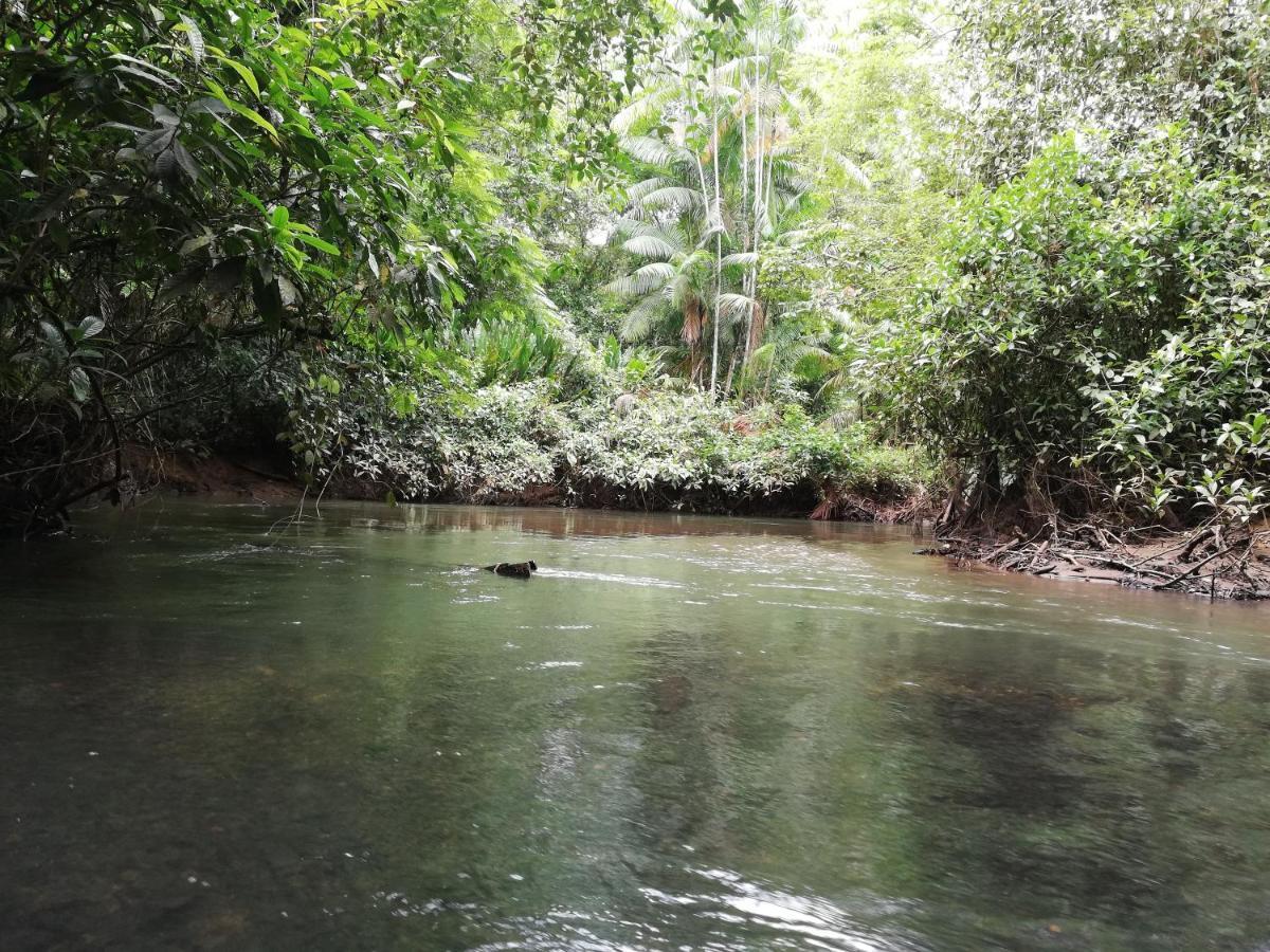 La Tarima Del Colibri Ecolodge El Valle  ภายนอก รูปภาพ