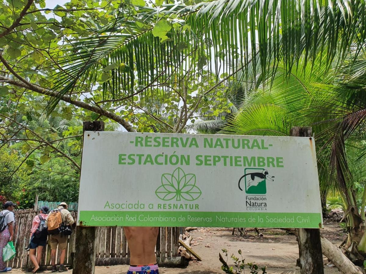 La Tarima Del Colibri Ecolodge El Valle  ภายนอก รูปภาพ