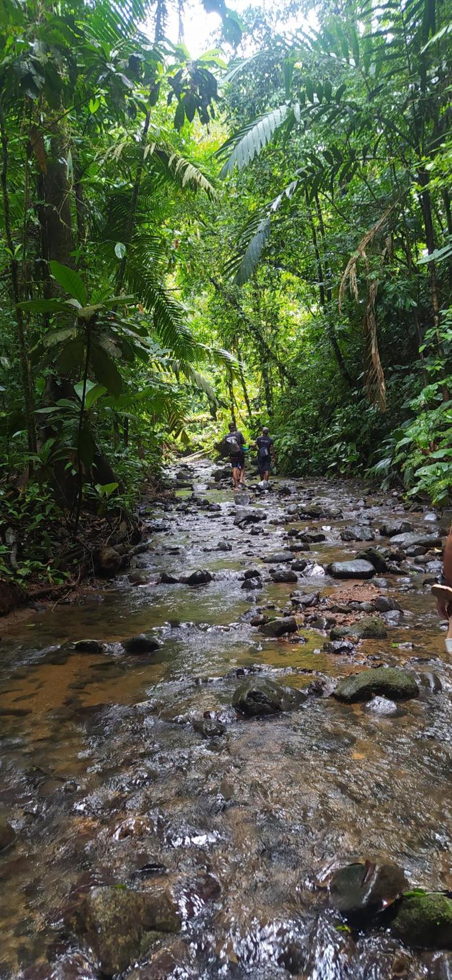 La Tarima Del Colibri Ecolodge El Valle  ภายนอก รูปภาพ