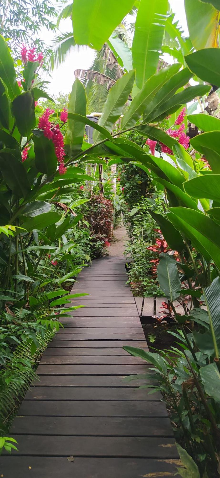La Tarima Del Colibri Ecolodge El Valle  ภายนอก รูปภาพ