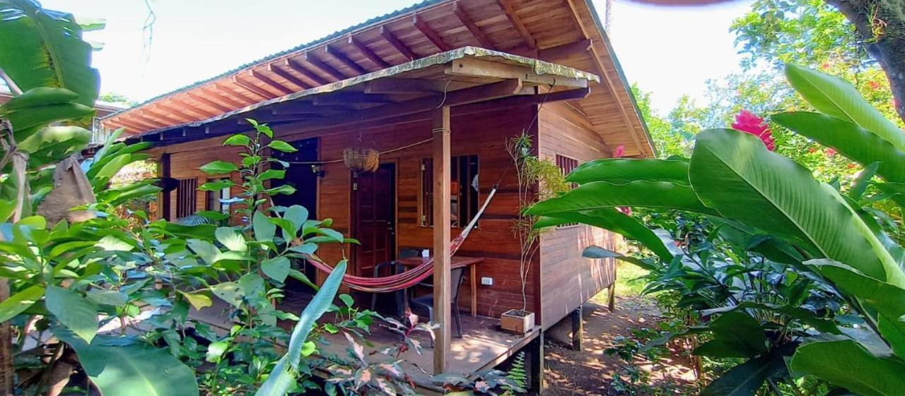 La Tarima Del Colibri Ecolodge El Valle  ภายนอก รูปภาพ