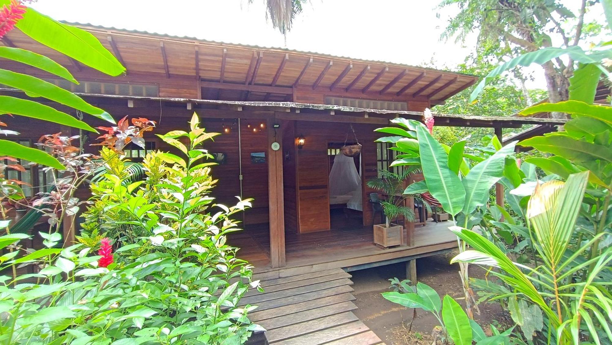 La Tarima Del Colibri Ecolodge El Valle  ภายนอก รูปภาพ