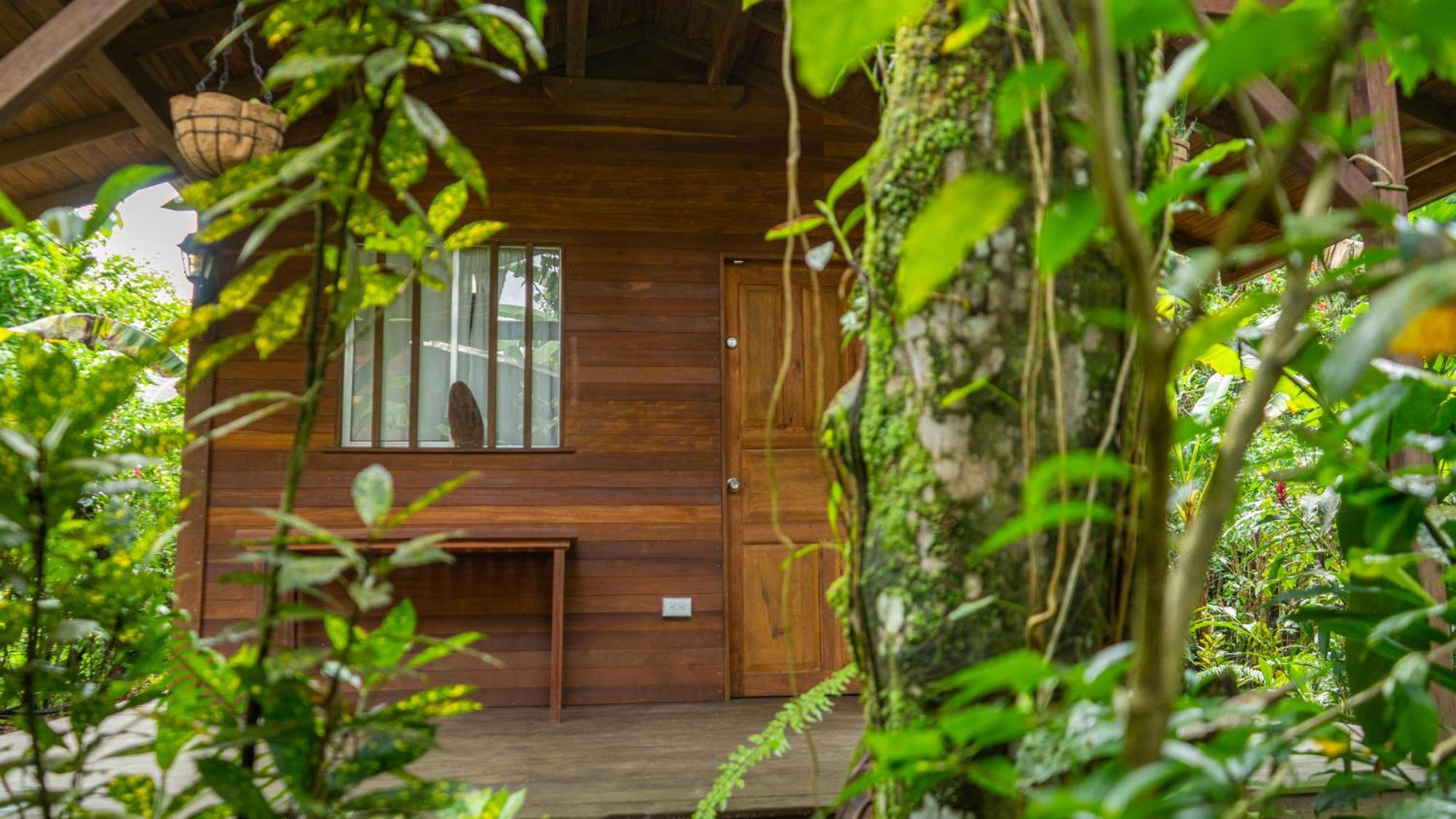 La Tarima Del Colibri Ecolodge El Valle  ภายนอก รูปภาพ
