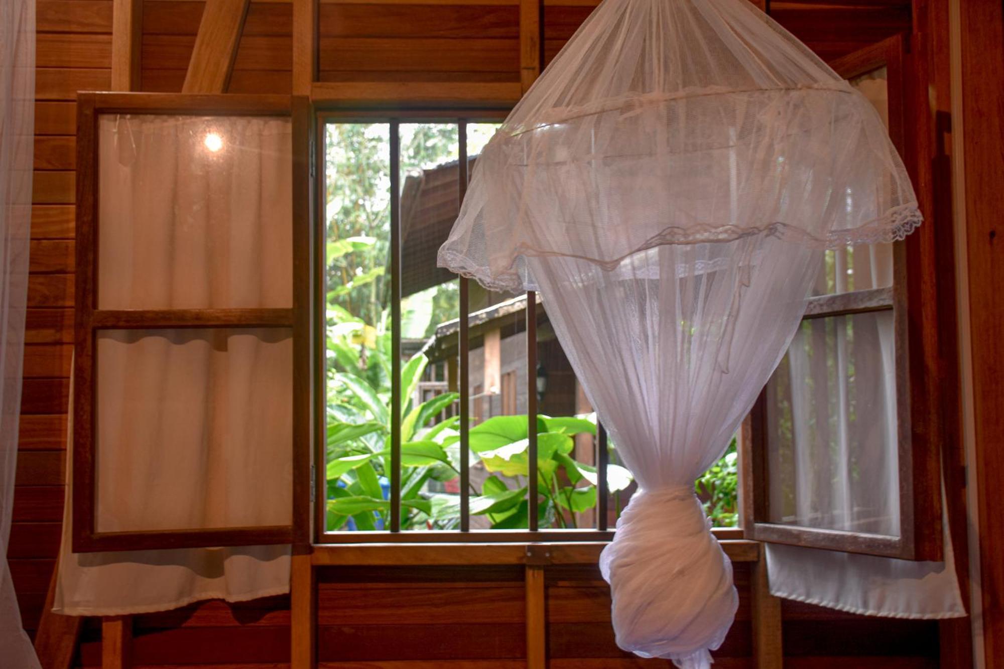 La Tarima Del Colibri Ecolodge El Valle  ภายนอก รูปภาพ