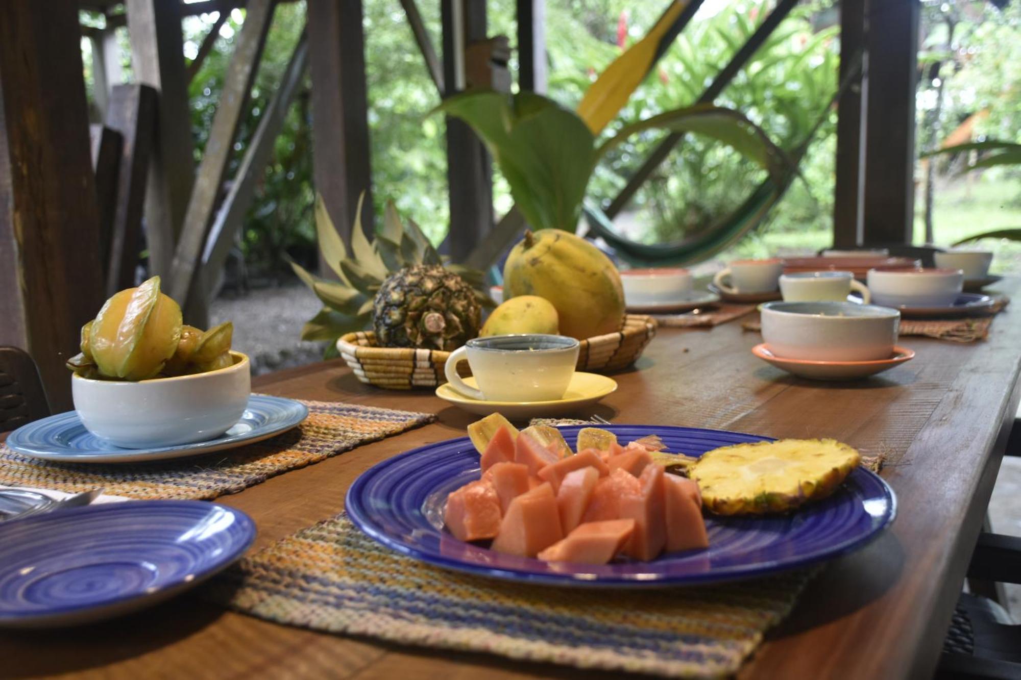 La Tarima Del Colibri Ecolodge El Valle  ภายนอก รูปภาพ