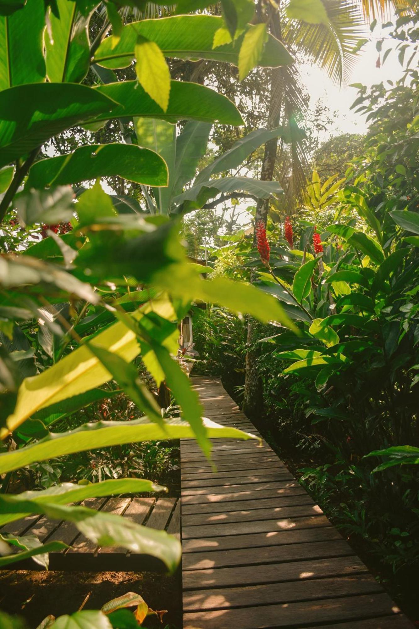 La Tarima Del Colibri Ecolodge El Valle  ภายนอก รูปภาพ