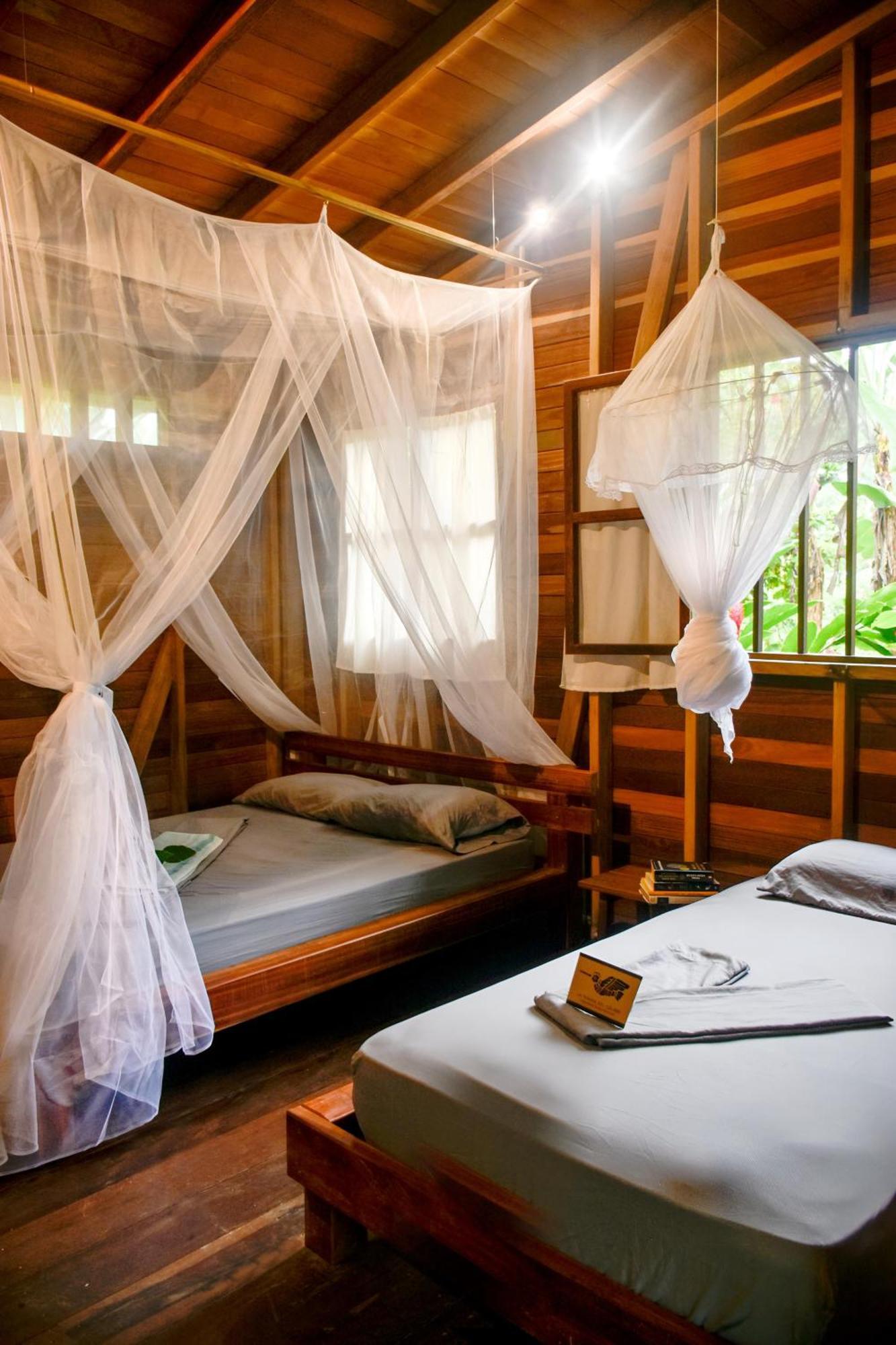 La Tarima Del Colibri Ecolodge El Valle  ภายนอก รูปภาพ