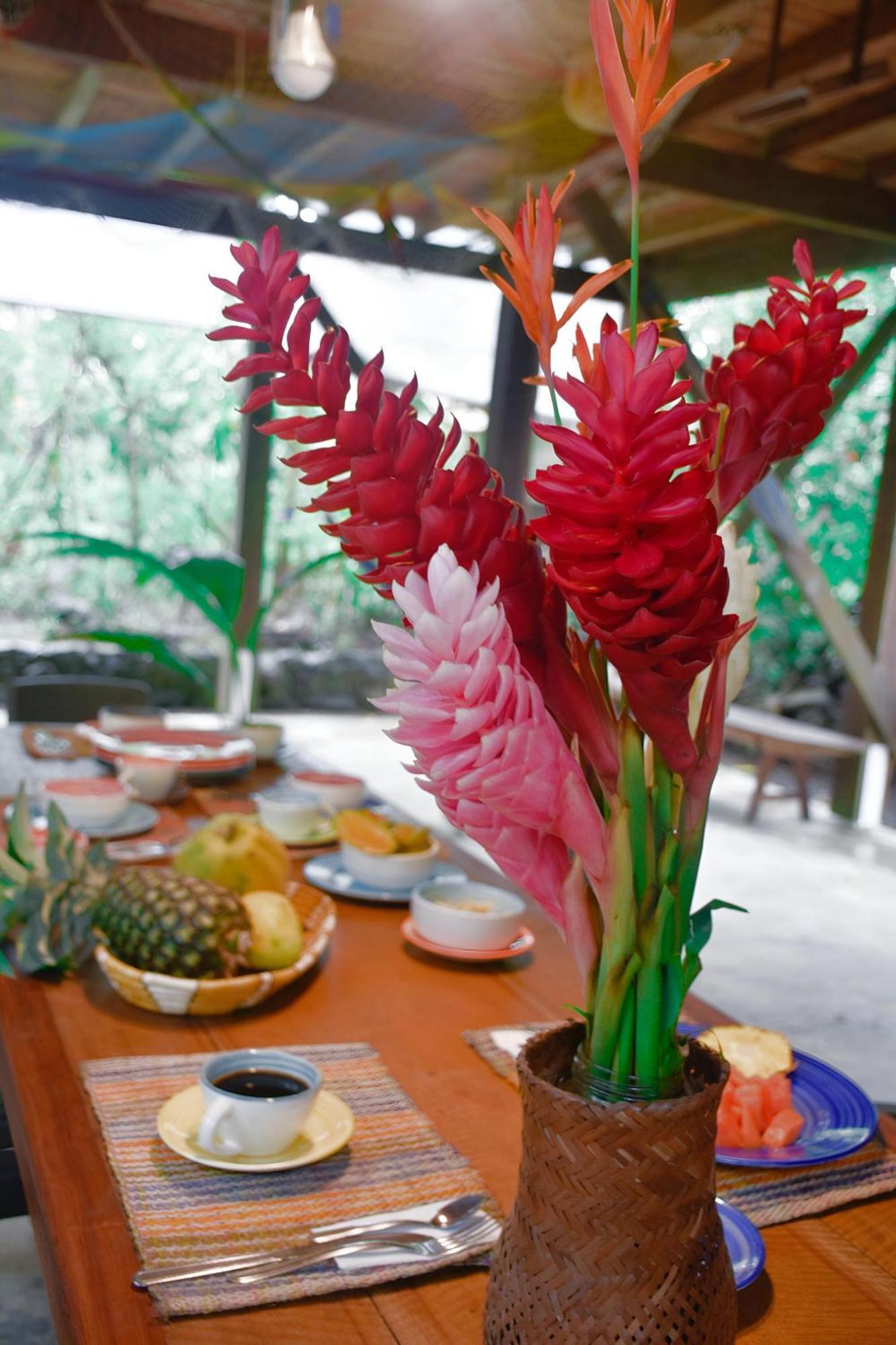La Tarima Del Colibri Ecolodge El Valle  ภายนอก รูปภาพ