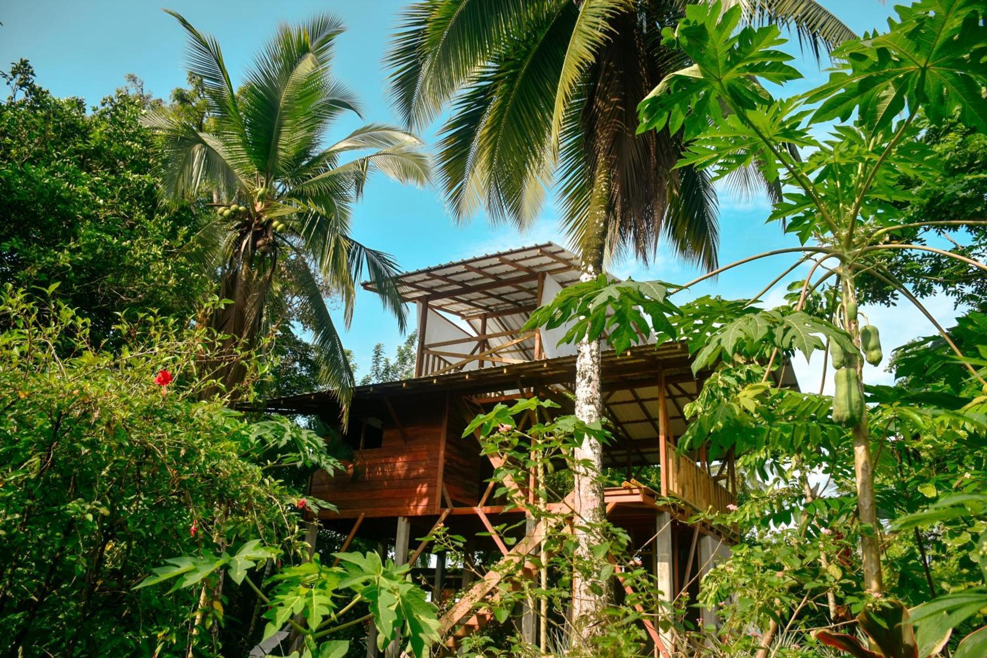 La Tarima Del Colibri Ecolodge El Valle  ภายนอก รูปภาพ